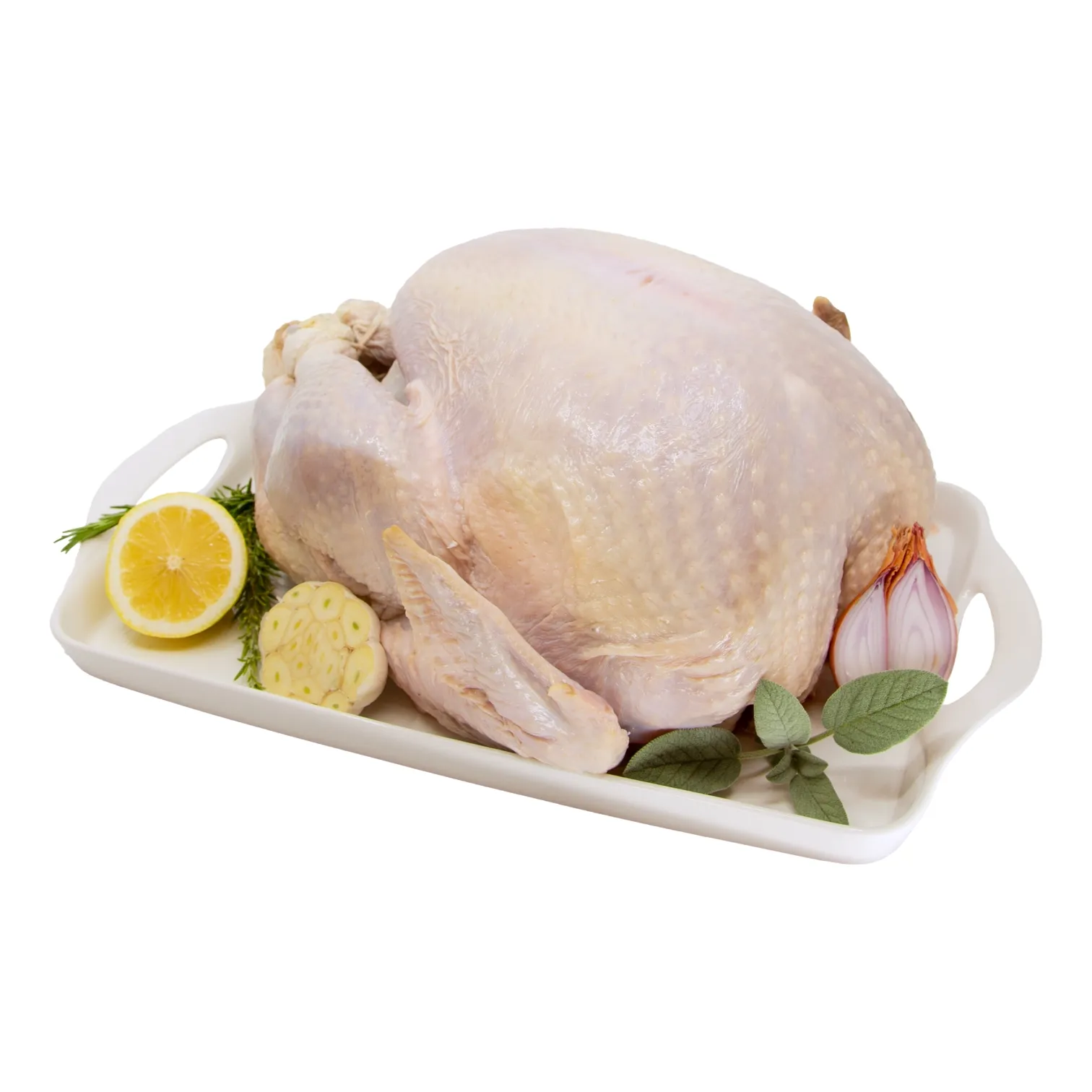 turkey_whole_30460 Raw whole turkey on a white serving tray, garnished with lemon, onion, herbs, and a cut vegetable; a clean, fresh food-preparation scene.