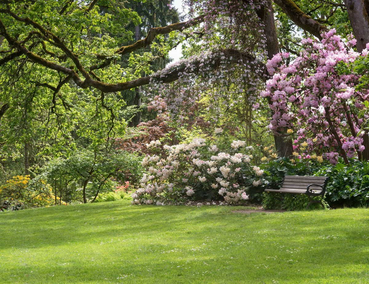 Allergy Tips Allergy Tips