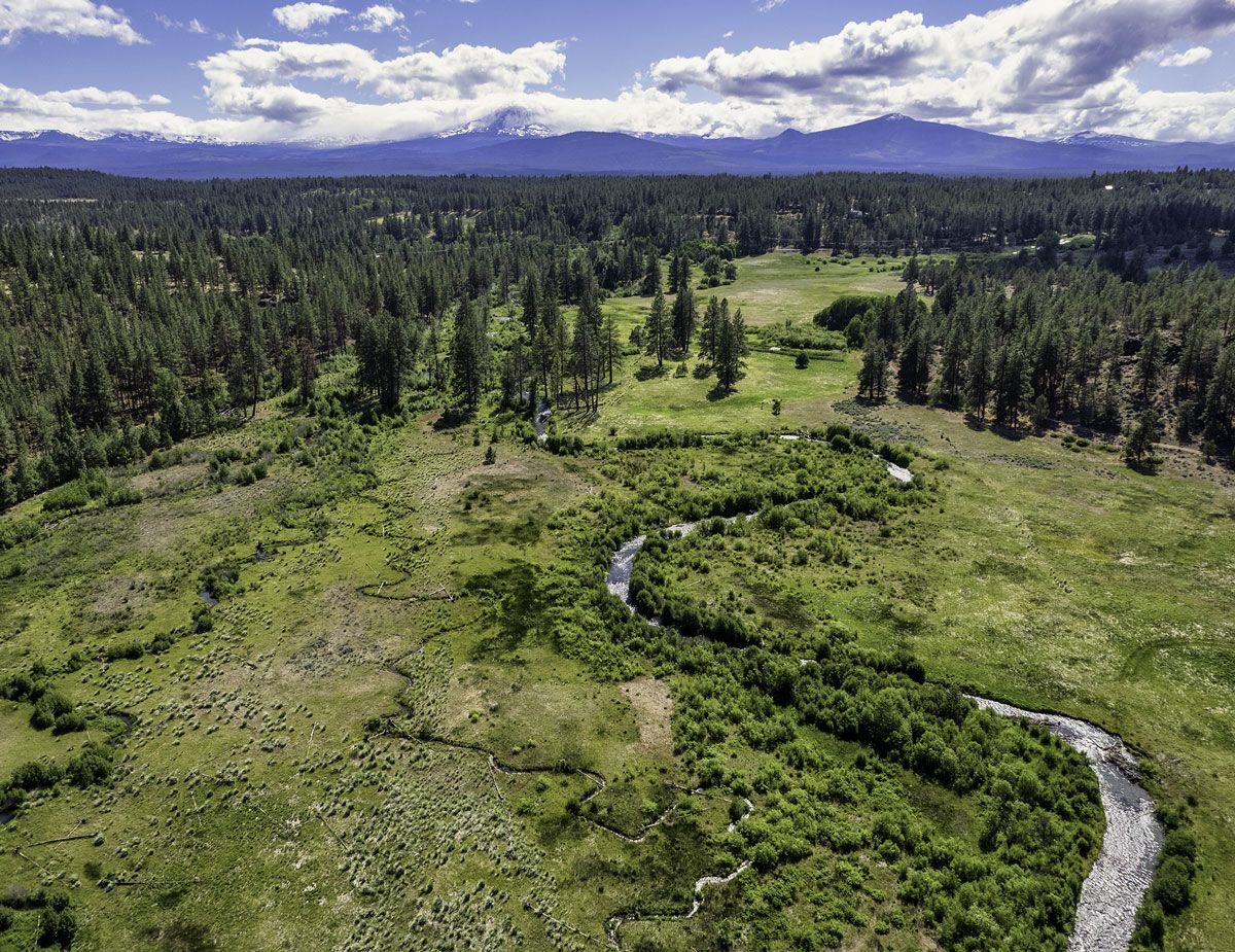 McKenzie River 2