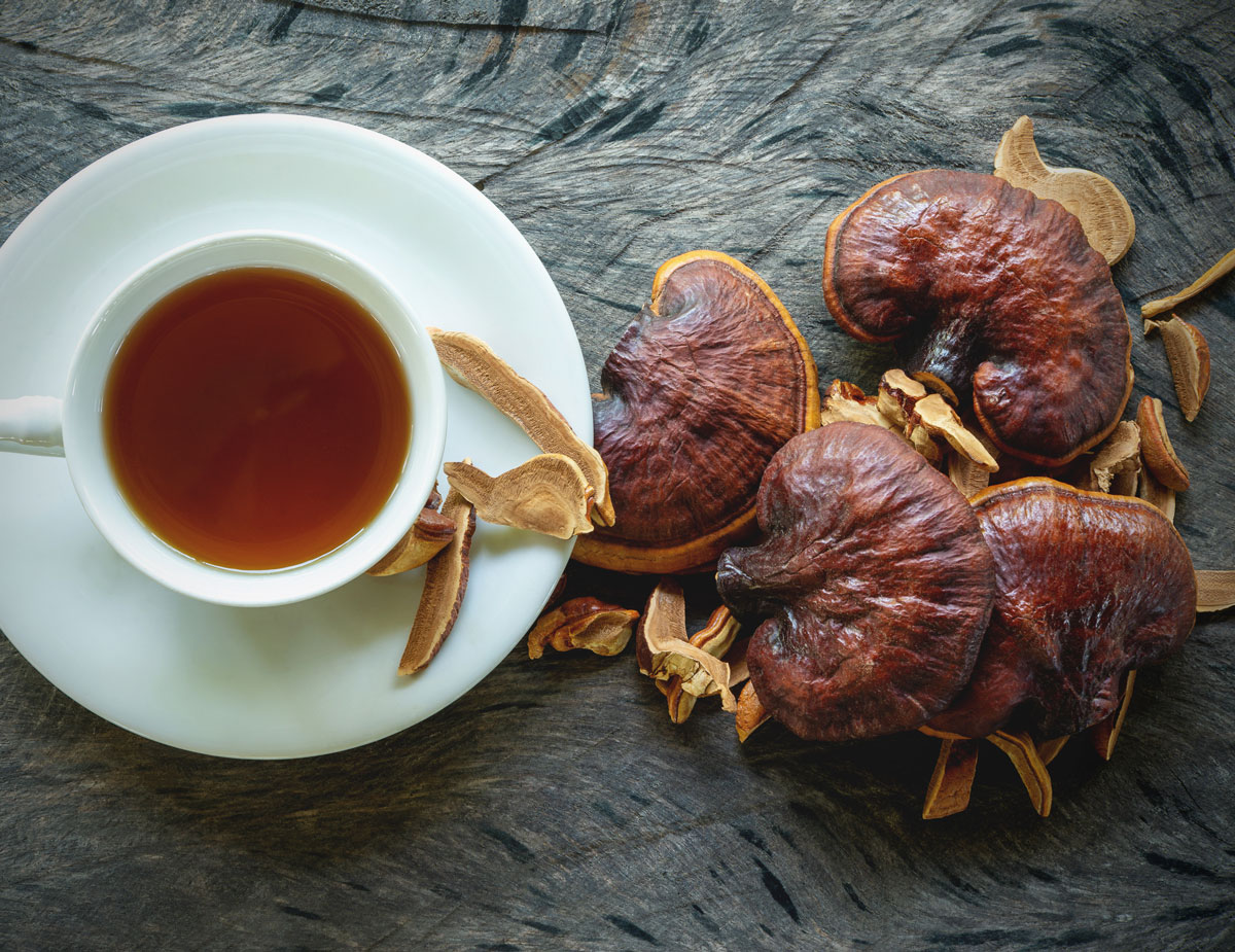 Cup of reishi mushroom tea with dried reishi mushrooms on a wooden table.