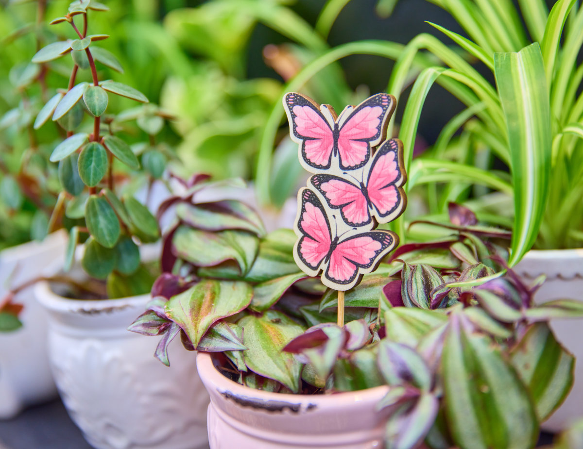 Potted houseplants with a pink butterfly plant marker displayed in a bright, welcoming floral shop.